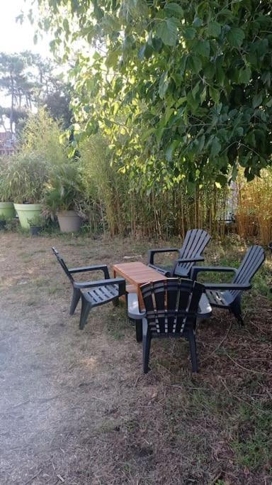 400M De La Plage Maison 3 Chambres Avec Jardin Saint-Georges-de-Didonne Zewnętrze zdjęcie